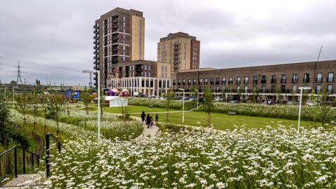 A view of Beam Park across a wild flower meadow