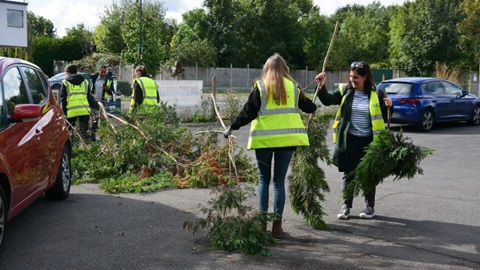 People holding tree branches
