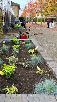 Planter filled with fresh plants with people working in the distance