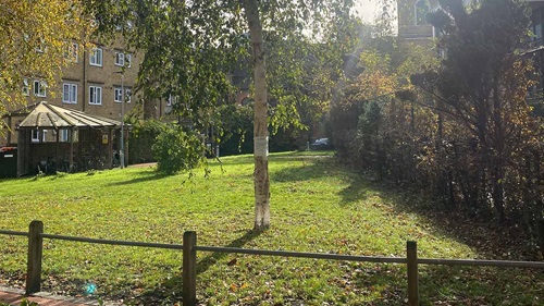 Armoury Estate gardens showing green healthy grass with a young tree in the middle