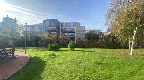 Armoury Estate gardens. Healthy green grass with a young tree to the right, a red pathway to the left and tall estate buildings in the background. The gardens has various small bushes on the grass.