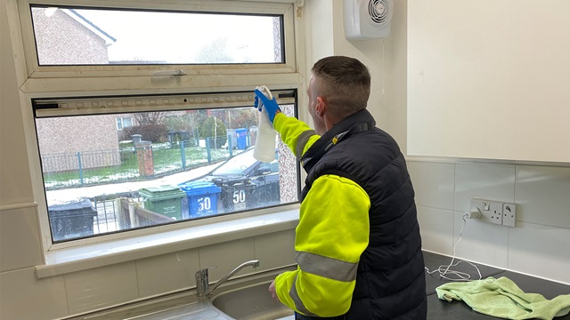 Micky cleaning a kitchen window