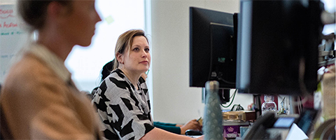 L and Q staff at their desks