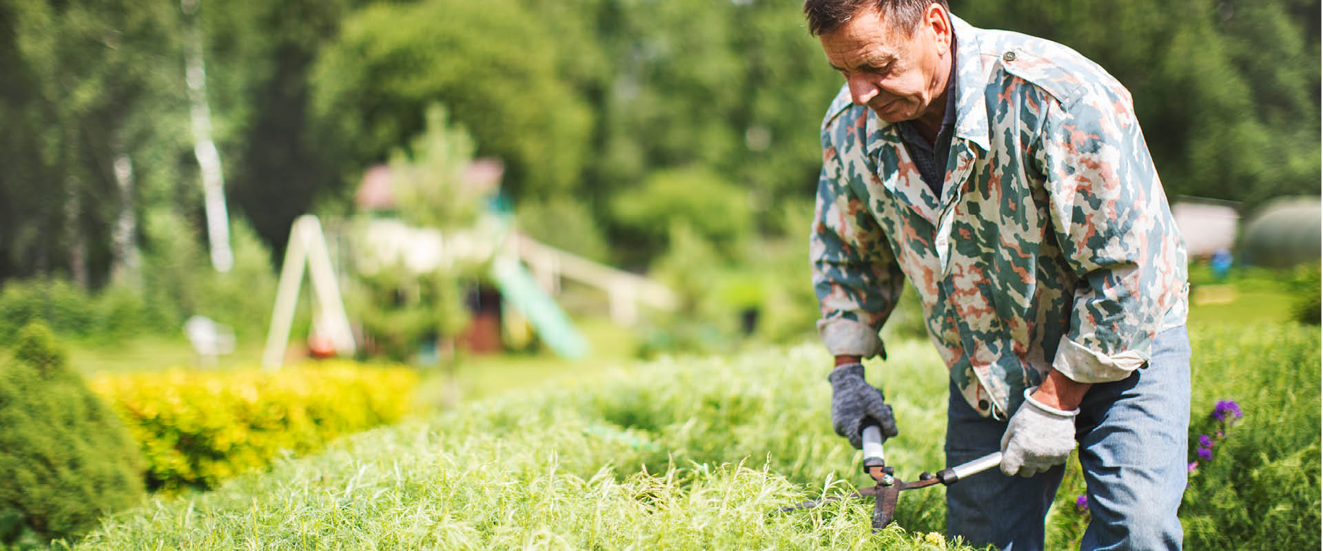 Gardener cutting a bush