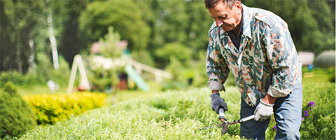 Man tending to garden