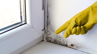 Gloved hand points to dampness around a window corner.